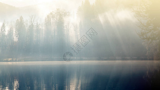 在湖边穿过树木的阳光照耀图片