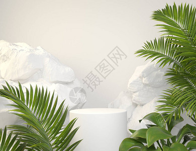 玉簪含有绿色热带植物和岩石背景3d的熔化白MockupWhitep设计图片