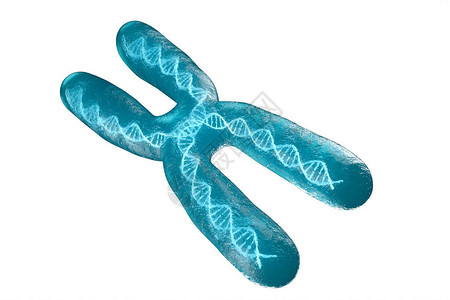 染色质白色背景的染色体3D成像计设计图片