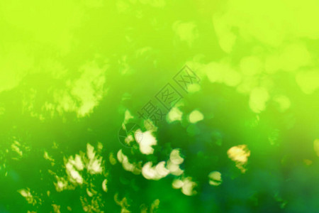模糊的离焦抽象绿色背景抽象的天然绿色模糊生物背图片