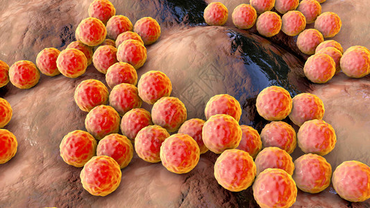 细菌金黄色葡萄球菌表皮葡萄球菌MRSA耐多药细菌设计图片