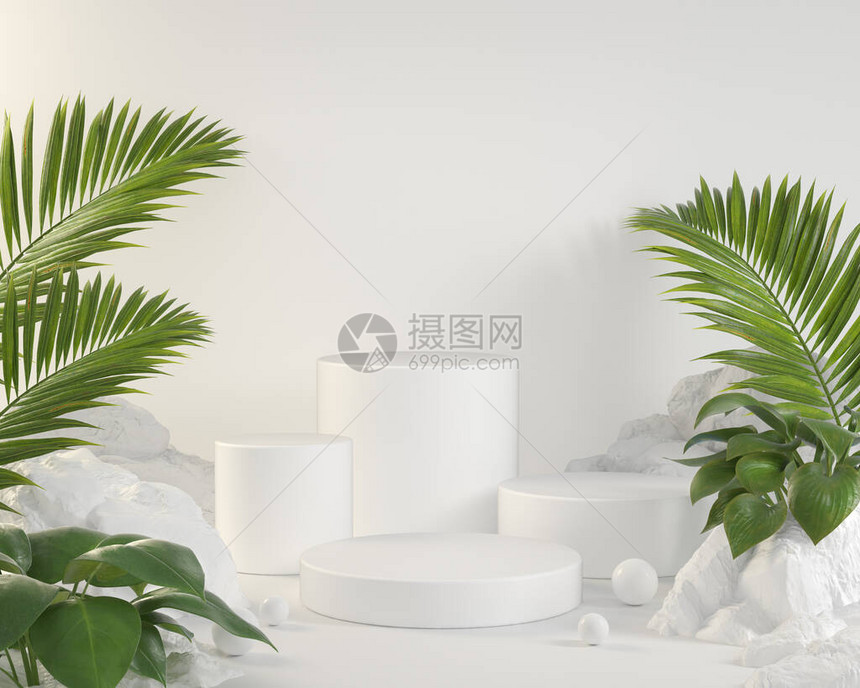 含棕榈叶和热带植物的混合空白集成3d图片