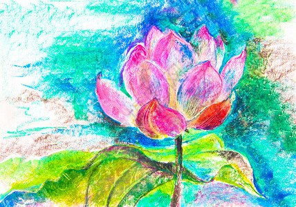 粉红莲花用蜡笔在白纸上绘图片高清图片