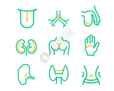 颈动脉彩超黄绿色医疗行业图标svg图标元素套图插画