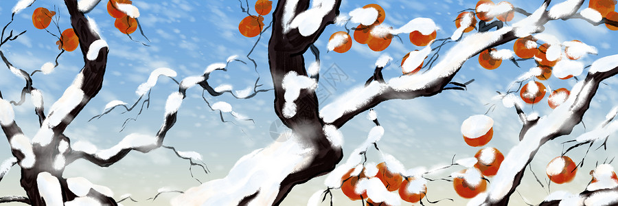 大雪节气中的堆满雪花的柿子树枝高清图片