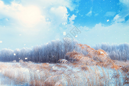 大雪创意芦苇蓝天背景图片