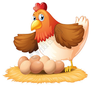 一只母鸡和她的七个鸡蛋在白色上的插图背景图片