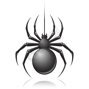 黑蜘蛛会徽图片