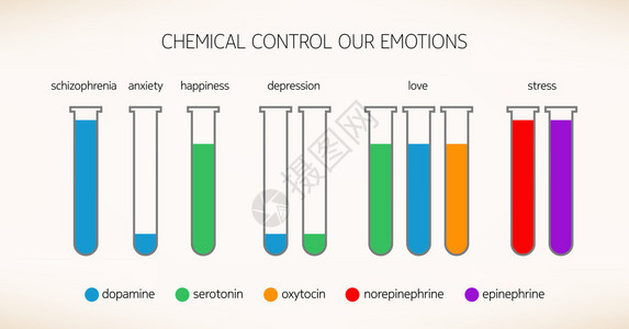 控制我们的情绪的化学物质图片