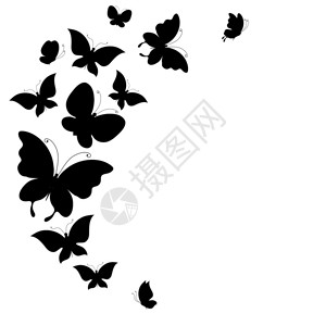飞舞的蝴蝶与背景图片