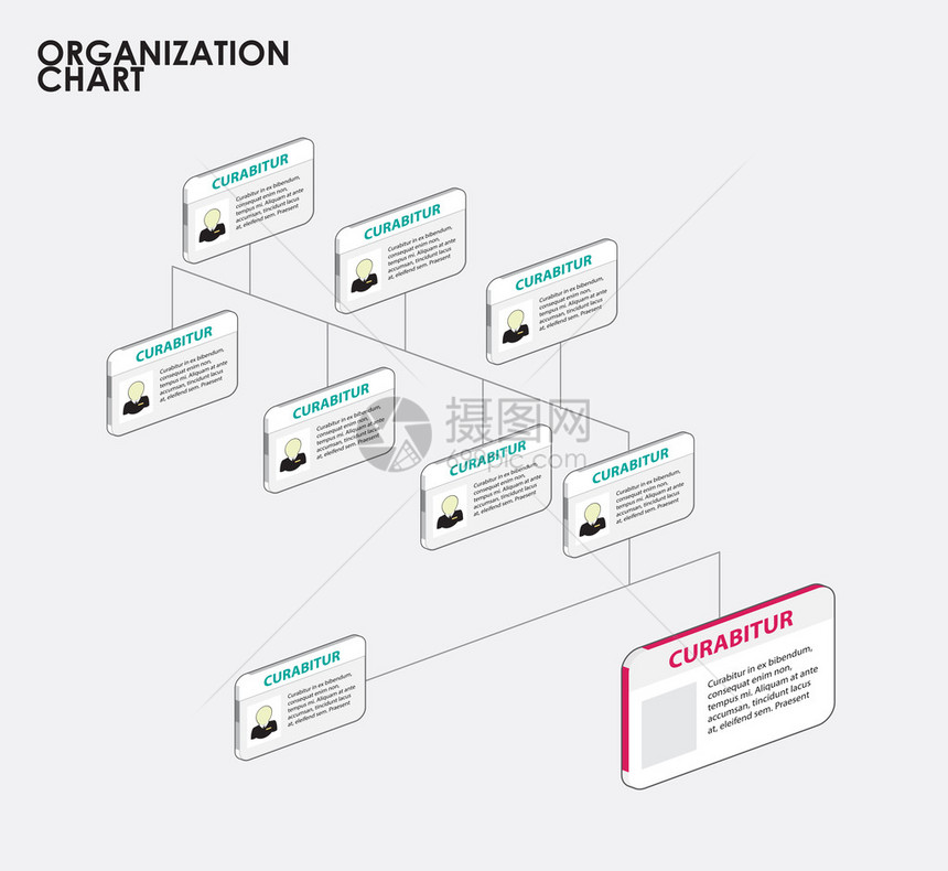 带有树的组织结构图表图片