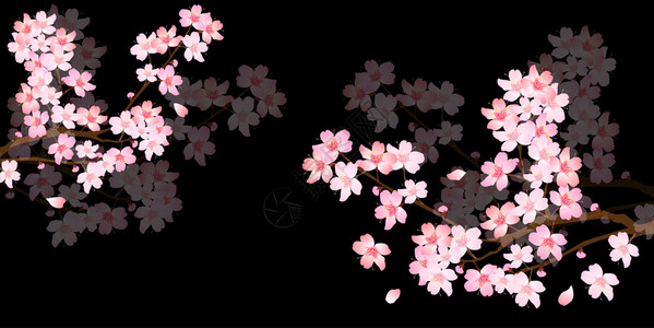 春天樱花盛开背景图片