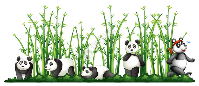 竹林中的熊猫插画图片