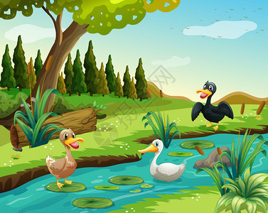 池塘边三只鸭子的场景插图图片