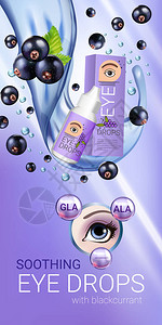 黑醋栗眼药水广告矢量图和瓶中的collyrium和黑醋栗元图片