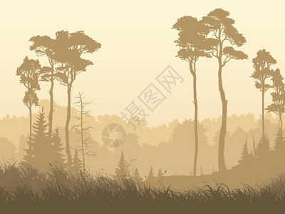 汽车玻璃起雾雾气弥漫的森林空地的水平插图插画