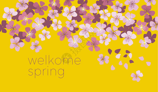 阳明媚的黄颜色装饰樱花春季花卉矢量插图卡邀请标题樱花枝盛开的花朵图片