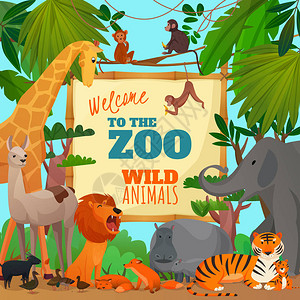 欢迎来到动物园的漫画与狮子大象长颈鹿虎河马猴羚羊图片