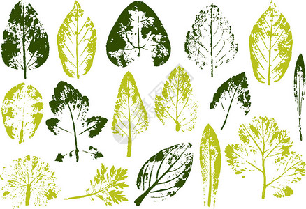 矢量树枝和树叶手绘花卉元素复古植物插图图片