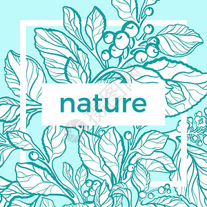 自然包装的矢量模板热带芳香植物有机伴侣枝叶花浆果的复古花卡艺术设计素描花卉形状生物的颜背景图片