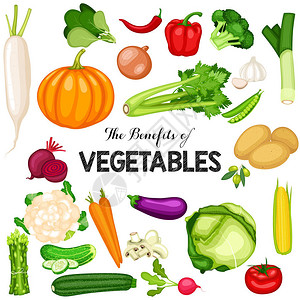 受益蔬菜对健康的好处插画