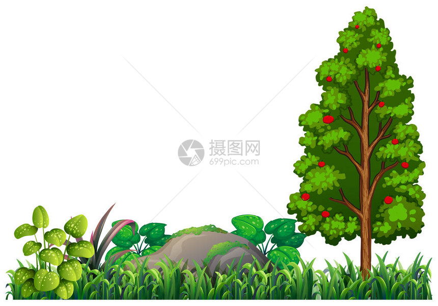 孤立的自然植物元素插图图片