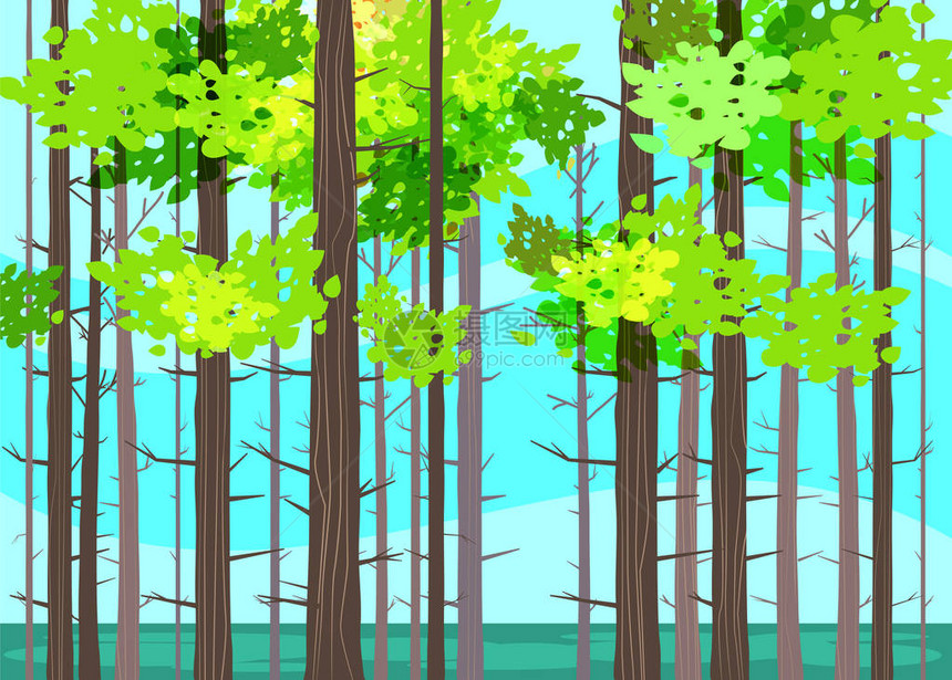 美丽的春天森林树绿色的叶子风景灌木树干的剪影地平线向量动画片样式例证查出图片