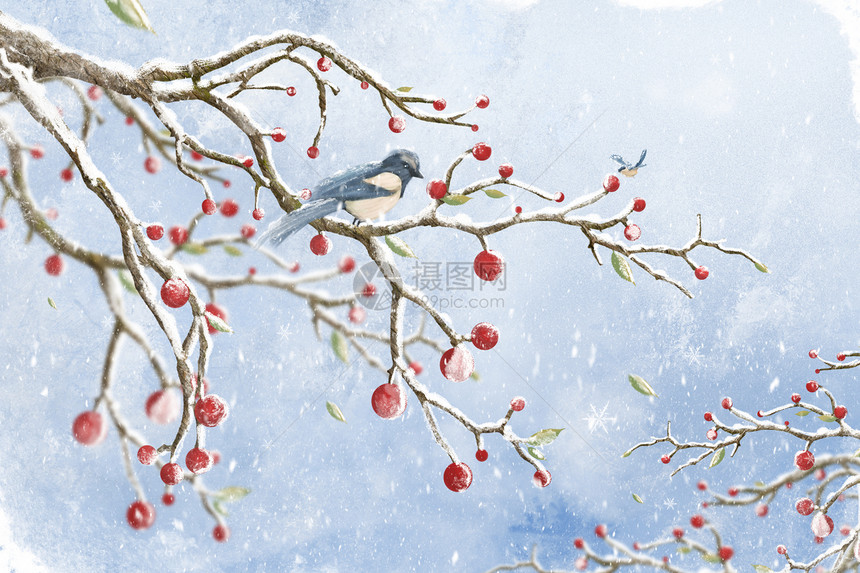 大雪站在树枝上的小鸟配图图片