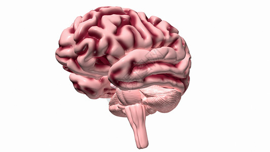小脑大脑皮层严重阿尔茨海默氏病患者脑设计图片