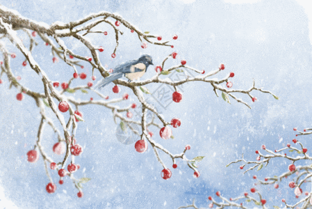 雪站在树枝上的小鸟配图gif动图图片