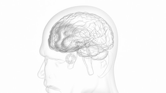 垂体前叶抑郁症的大脑设计图片