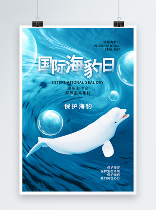 海洋哺乳动物时尚大气国际海豹日海报模板