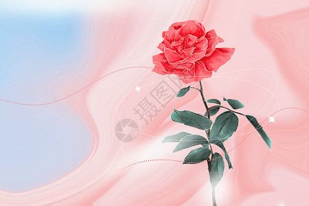 花瓶玫瑰弥散风玫瑰背景设计图片