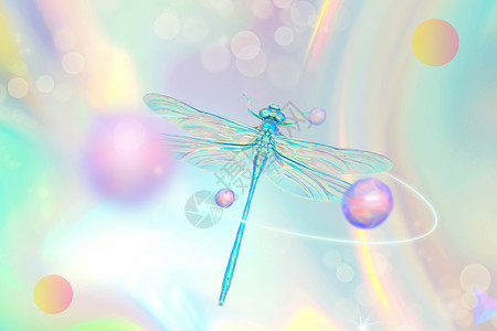 蜻蜓元素酸性背景设计图片