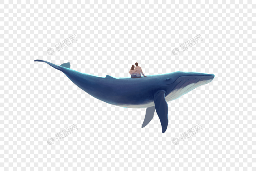 鲸鱼背上的情侣图片