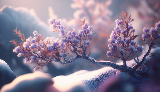紫色花卉背景图片
