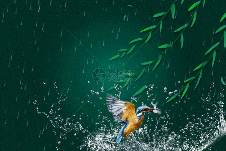 清新谷雨节气海报GIF图片