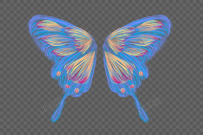 炫彩翅膀蓝色蝴蝶图片