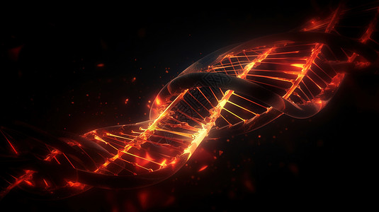 DNA双螺结构图片