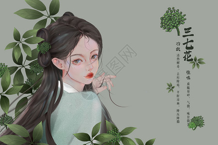 七巧节中药拟人古风国潮插画之三七花插画