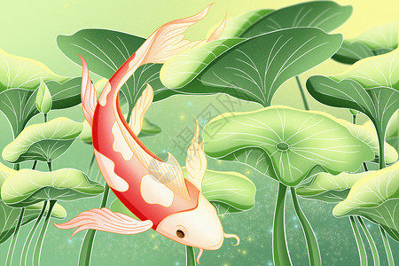 鱼在水里游在荷叶间畅游的锦鲤插画