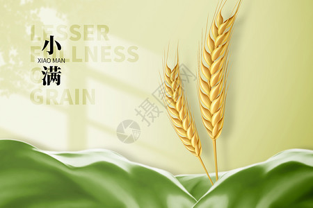 绿色小麦边框小满创意绿色丝绸麦穗设计图片