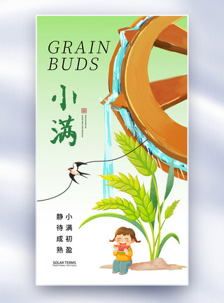 小麦水稻清新简约小满24节气全屏海报模板