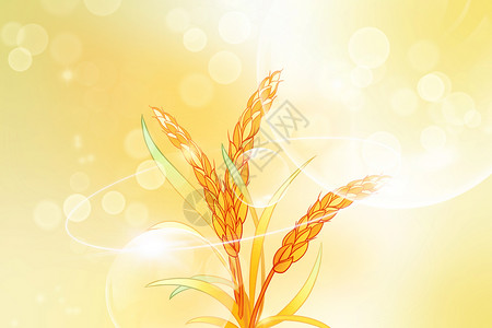 丰收麦穗麦穗色彩背景设计图片