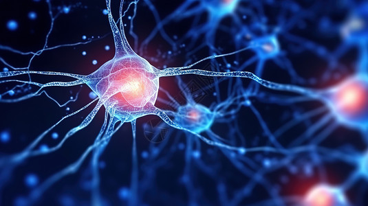 人类大脑神经元连接3D图片