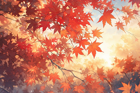 秋天枫叶背景插画图片