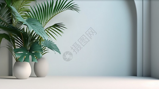 棕榈酰电商产品展台绿植棕榈叶绿色设计设计图片