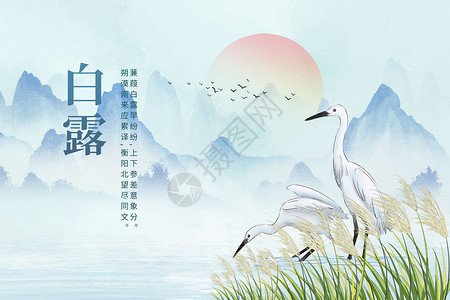 湿地水鸟白露山水背景设计图片
