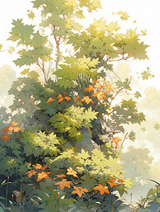 初秋长在山上的小小的卡通枫树背景图片