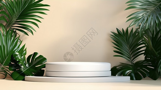 热带树叶白色圆形产品展示台背景图片